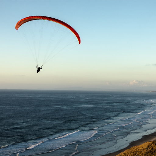 PIMFA's Strategic Priorities